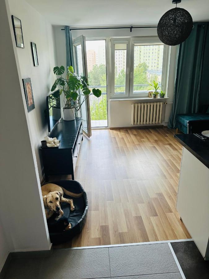 Pet's House Appartamento